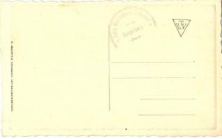 44 db RÉGI külföldi képeslap közlekedési eszközökkel. Sok német és osztrák képeslap felvonókkal / 44...