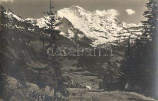 44 db RÉGI külföldi képeslap közlekedési eszközökkel. Sok német és osztrák képeslap felvonókkal / 44...