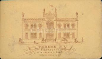 cca 1870 Hölgy műtermi portréfotója Veress Ferenc (1832-1916) neves kolozsvári fényképész műterméből...