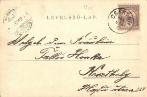 Csákvár, Gazdasági iskola, Gróf Esterházy kastély  (EK)