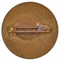 ~1960-1970. "MiG-21" zománcozott jelvény (22mm) T:2