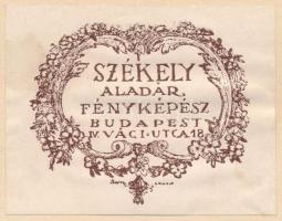 Székely Aladár (1870-1940): Férfiportré, fotó, kartonra ragasztva, aláírt, hátulján jelzett, 22,5×16...