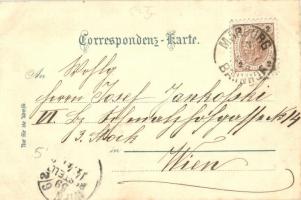 1899 Maribor, Marburg; Dom, Hauptplatz / cathedral, main square. Louis Glaser floral, Art Nouveau, l...