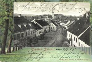 Slovenska Bistrica, Windisch-Feistritz; street view with church. Forest frame; Verlag Rosa Pitschl