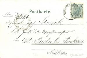 Slovenska Bistrica, Windisch-Feistritz; street view with church. Forest frame; Verlag Rosa Pitschl