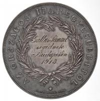 Anton Scharff (1845-1930) ~1913. "Az Országos Iparegyesülettől" jelzetlen Ag emlékérem, há...