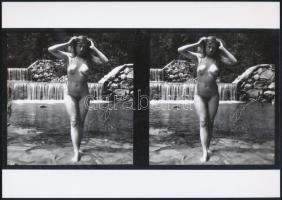 cca 1910 Régi képek, szép emlékek, 2 db szolidan erotikus fénykép, vintage negatívokról készült mai ...