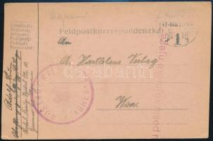 1917 Tábori posta levelezőlap hadikórház bélyegzéssel / Field postcard DRUSTVO CRVENI KRIZ ZAGREB