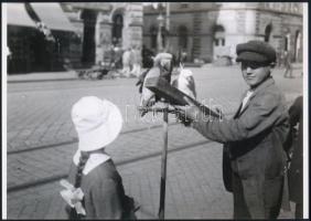 cca 1910 Papagájos sorshúzó Budapesten, Kerny István (1879-1963) vintage negatívjáról készült mai nagyítás, 18x25 cm