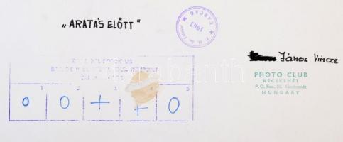 Vincze János (1922-1998): Aratás előtt, fotó, hátulján feliratozva, pecséttel jelzett, 14×39 cm