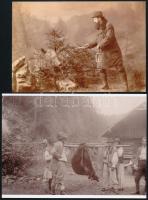 cca 1900 Medve és vaddisznó vadászat, 2 db vintage felvételről készített mai nagyítás, 11x16,5 cm és 13x18 cm