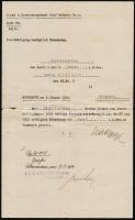 1914 Pétervárad, Cs. Kir. gróf Nádasy 9. sz. huszárezred, kadét kinevezés, Haas Sándor ezredparancsnok aláírásával, pecséttel, kis szakadással, 34x21 cm