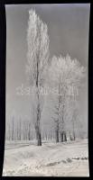 Vincze János (1922-1998): Téli hangulat / Winter symphony, fotó, hátulján feliratozva, pecséttel jelzett, 39,5×19,5 cm