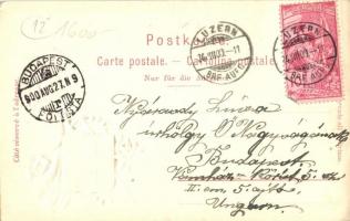 Lucerne, Luzern; Promenade, Pilatus. K. Liebhardt Kunstanstalt, coat of arms, floral, goat Emb. lith...