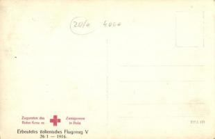 Erbeutetes italienisches Flugzeug V. 26/1-1916. Zugunsten des Rotes kreuz es Zweigverein in Pola / I...