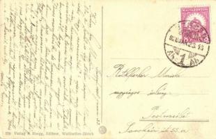 Humorous military ski unit. 558 Verlag A. Ruegg