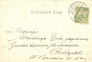 1904 Torda, Turda; Aknasósfürdő sómezőkkel / mine spa with salt fields, photo