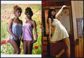 cca 1970 Női fehérneműk és fürdőruhák divatfotózása, 9 db vintage negatívról készült mai nagyítás, 18x13 cm