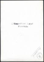 cca 1960 Tiszavölgyi József (1909-?) fotóriporter pecséttel jelzett, vintage felvételei különféle té...