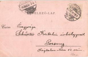 1898 Piliscsaba, vasút gőzmozdonnyal, tábori képek, szobor (kis szakadás / small tear)