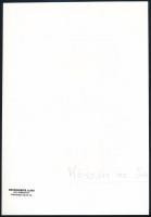 cca 1985 Menesdorfer Lajos (1941-2005): Köszön az ősz, pecséttel jelzett, vintage fotóművészeti alko...