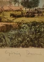 Görög Rezső (1930-): Herke tó. Színezett rézkarc, papír, jelzett, üvegezett keretben, 24×39 cm