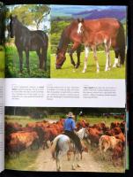 1000 Lófajta. Szerk.: Szűts Balázs. Fordította Haynal Alexandra. Pécs, 2007, Aleandra. Kiadói papírk...