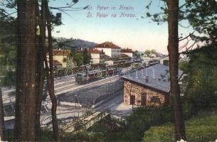 Sveti Petar na Krasu, St Peter in Krain; Bahnhof / raiway station with trains