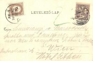 Lugos, Lugoj; Magyar Királyi Szálloda, étterem, kávéház. Auspitz Adolf kiadása / Hotel König von Ung...