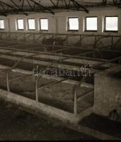 cca 1968 Állattartó csarnok építése, 13 db vintage negatív Sinka Antal (?-?) hagyatékából, aki a vel...