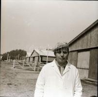 cca 1968 Állattartó csarnok építése, 13 db vintage negatív Sinka Antal (?-?) hagyatékából, aki a vel...