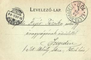 1899 Nagykövesd, Velky Kamenec; Sátoraljaújhely környéke, Rákóczi vár romja / castle ruins