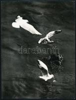 cca 1973 Zsigri Oszkár (1933-?) 2 db vintage fotóművészeti alkotása, egyik feliratozott, 24x18 cm és...