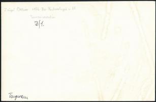 cca 1974 Zsigri Oszkár (1933-?) 2 db feliratozott, vintage fotóművészeti alkotása, 24x18 cm és 15x24...