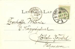 Marosvásárhely, Targu Mures; Fő tér, Bartscht Károly, Henning Károly, Csíky Emil, Falkenstein Ödön é...