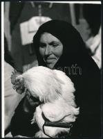 cca 1972 Zsigri Oszkár (1933-?) 3 db vintage fotóművészeti alkotása, kettő feliratozott, 9x23,5 cm é...