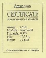 DN "Nemzetünk Nagyjai - "Fel Budára, szabadítsuk ki Táncsics Mihályt!" - Táncsics Mih...