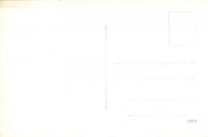 Weyer a. d. Enns, Strassenbild mit Geschäfte / street view with shops, automobile. Carl Harrer photo