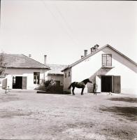 cca 1969 Kecskeméti városképek, épületfotók, 13 db szabadon felhasználható vintage negatív, 6x6 cm