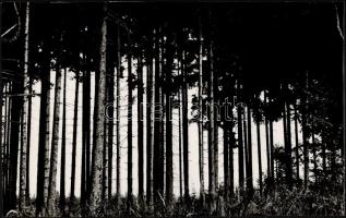 cca 1969 Kalocsai Rudolf (?-?)budapesti fotóművész 3 db matricával jelzett, fotóművészeti alkotása, ...