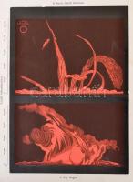 Flammarion, Camile: Népszerű csillagászattan és az égboltozat egyetemes leírása I-II. kötet. Fordíto...