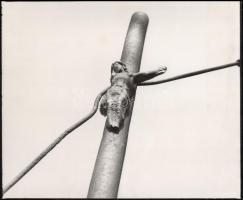 cca 1978 Wojciech Prazmowski lengyel fotóművész 3 db pecséttel jelzett, vintage fotóművészeti alkotá...