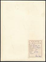 1941 dr. Kiss Ferenc (1889-1966) anatómiaprofesszor előadás közben. Címkével ellátott fotó / Profess...