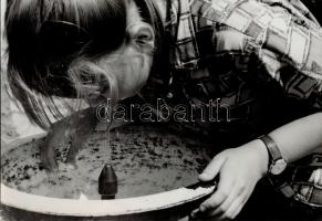 cca 1960 Krisch Béla kecskeméti fotóművész 2 db vintage fotóművészeti alkotása, az egyik jelzés nélküli, 36x26 cm és 26x38 cm