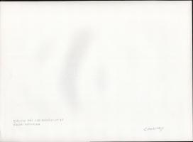 cca 1975 Balásy Pál (?-?): Budapesti zenészek, 4 db vintage fotóművészeti alkotás, három feliratozot...