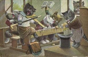 Cat school. T.S.N. Serie 1879. s: Arthur Thiele