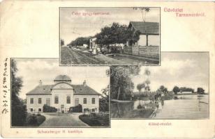 Tarnaméra, üzlet és gyógyszertár, Schlossberger H. kastélya, Kőhíd (EK)