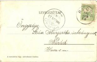 Tarnaméra, üzlet és gyógyszertár, Schlossberger H. kastélya, Kőhíd (EK)