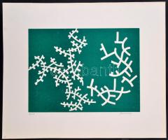 Marosán Gyula (1915 - 1996) - mappa, 11 lap a 20-ból (Toronto, 1967), linómetszet, Sorszámozott, öss...