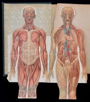 Platen: Az Új gyógymód. c. könyvének könyvügynoki bemutató példánya. Bp., Schroeter. Egészvászon köt...